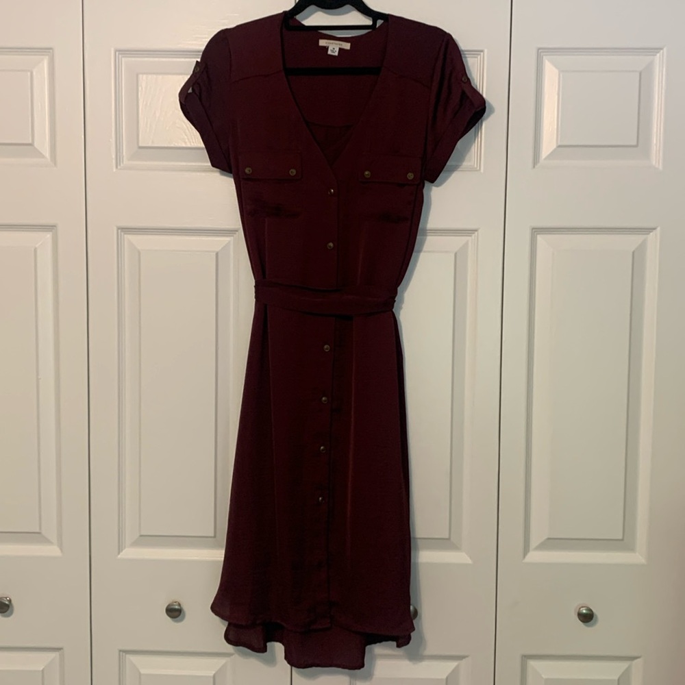41 Hawthorn - silk maroon dress with separate slip